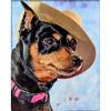 DIY мозаика вышивка крестиком Алмазная вышивка украшение дома алмазная живопись рукоделие собака носить