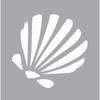 Stencil 8 X 8 Cm Seashell