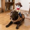 Novelty Dog Riding Denim Clothing Adjustable Cat Party Dressed Up Dog Cosplay Costumes  Photo Prop