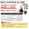 Shingen HID Replacement Compatible with and D4R 1 Also Compatible with HID and LED Single Ballast Ballast, D2S, D2R, D4S, Bulbs, Piece, Bulbs,