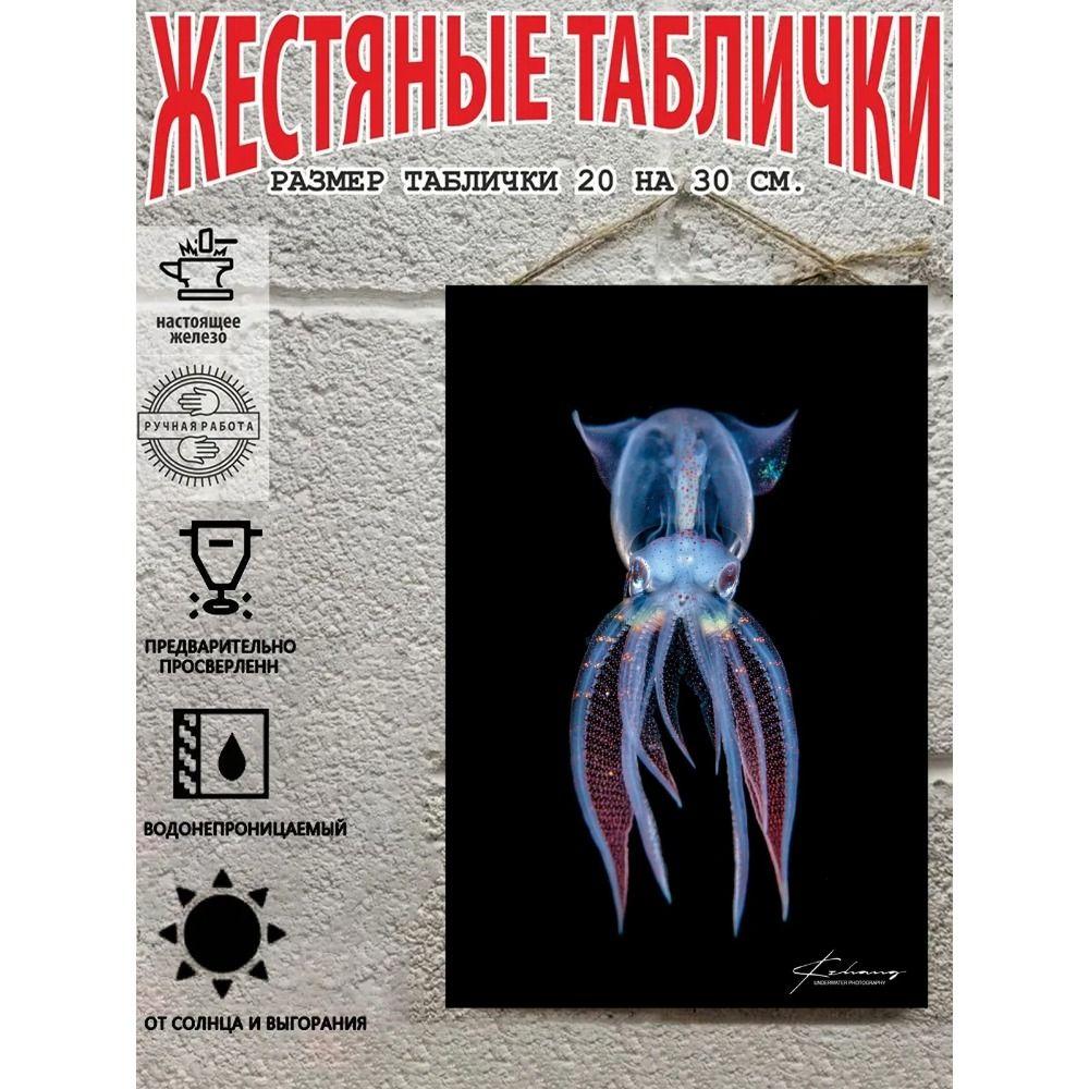 Металлические Настенные Знаки, Коллекция Морских Существ, Декор Комнаты, 20x30 см