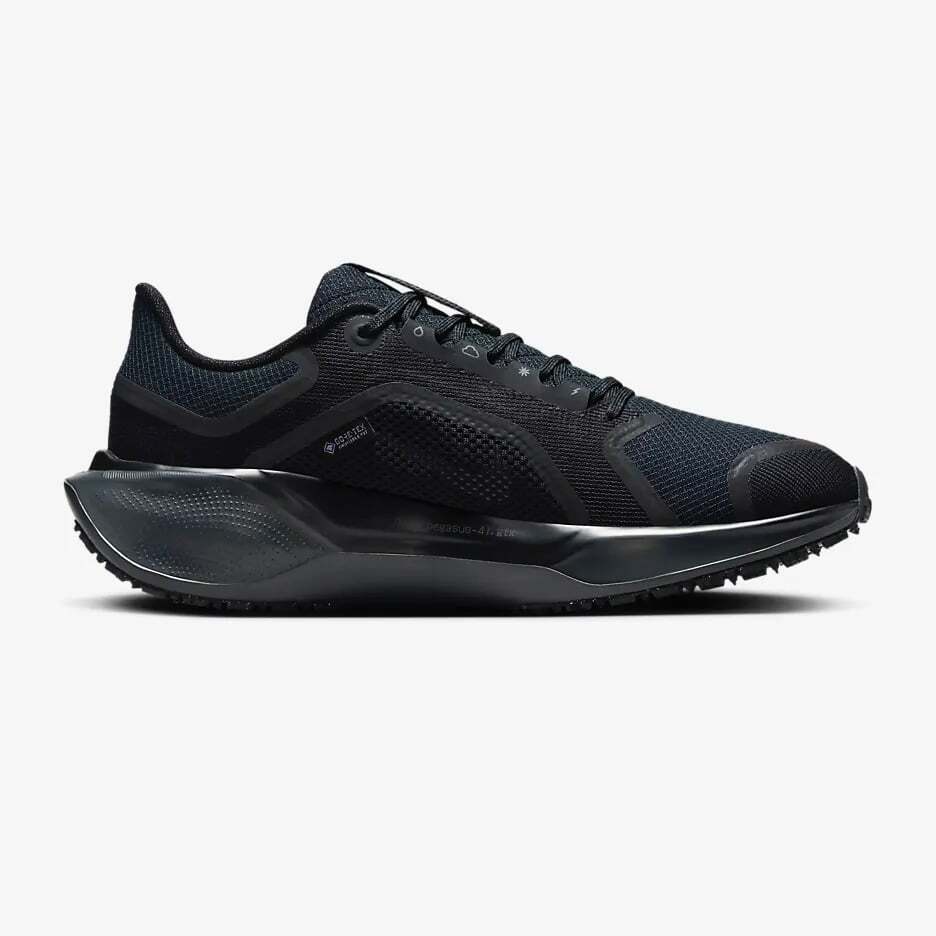 FQ1357-001 Nike Pegasus 41 GORE-TEX Черный Антрацит (Женский)