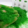 Material Garden Artificial Moss DIY Accessories Micro Landscape Decoration Artificial Grass Powder