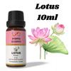 Эфирное масло Ananta Lotus 10 мл – Натуральное цветочное аромамасло для диффузора и ароматизации дома