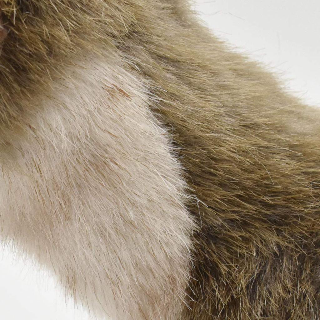 BH6310 HANSA Ferret 56