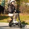 iScooter Electric Scooter F2 Adult Shopping Scooter 500W 30km/h Max Load 120KG 10 Inch Folding Light Weight with Seat and Basket