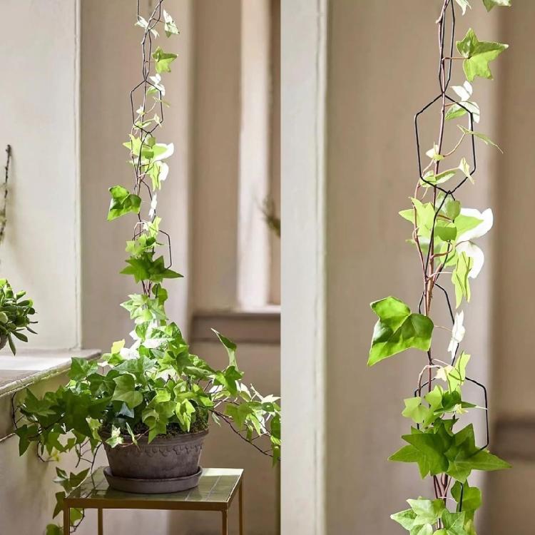 Indoor Plant Stem Rack Climbing Support Flower Pots Vine Stand Holder Plant Trellis Supporting Bracket Garden Decoration