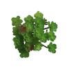 Simulation Succulent Do Not Fade Realistic Layered Decorate Plastic Artificial Plant Landscape Land Succulent for Home ARI