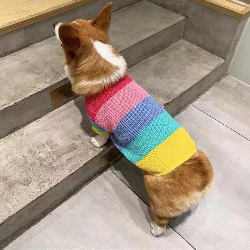 Одежда для собак Corgi, свитер для домашних животных Rainbow, для маленьких и средних собак, для бишонов, сиба-ину, Fadou, теплая зима