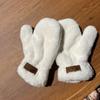Velvet Winter Gloves Warm Letter Gloves New Plush Gloves  Women