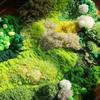 Moss carpet DIY creative hand-woven material package housewarming arrangement wedding gift birthday surprise