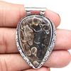 Pendant Turtella Jasper Gemstone Gift For Her Silver Jewelry "