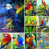 DIY 5D Diamond Painting Animal Parrot Rhinestone Pictures Full Diamond Embroidery Mosaic Cross Stitch Kit Home Decor Gifts