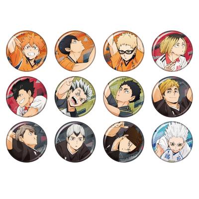 Коллекция значков «Аниме-блестки» из 12 штук. КОРОБКА «Haikyu! ! ”