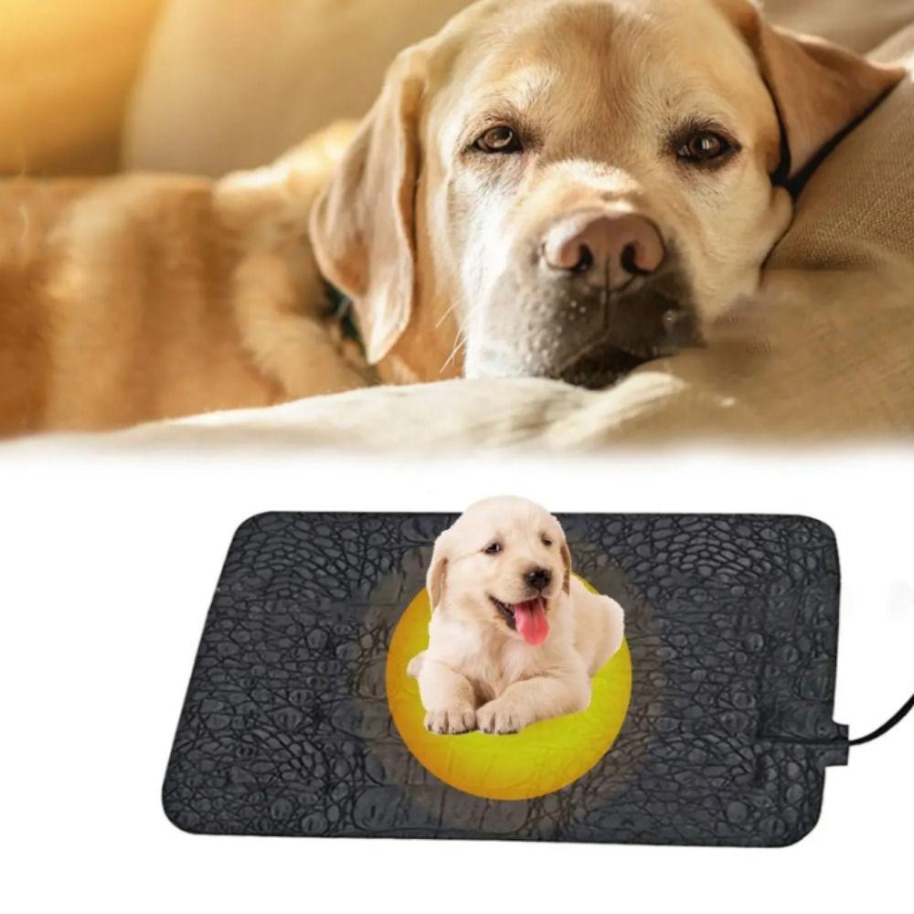 Водонепроницаемое электрическое одеяло для рептилий USB из искусственной кожи с подогревом для домашних животных, грелка для ящерицы, осень