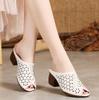 Women Hollow Slippers Fish Mouth Comfortable Mid-heeled Women Sandals Women's Shoes