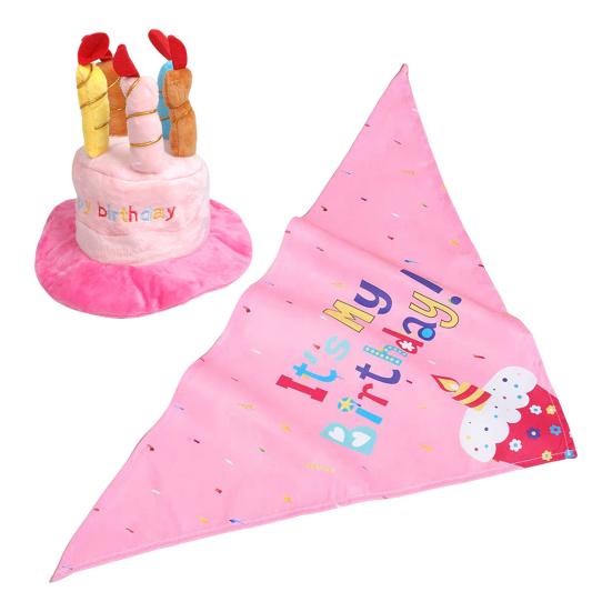 Костюм гуся на день рождения, праздничный торт на крыльце, шапка и бандана для двора, костюм гуся для статуи гуся до 23 лет