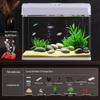 All-in-One Glass Aquarium Filter & Oxygenator - Small Eco-Friendly Desktop Tank 2025.