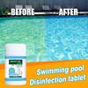 100g/3.5oz Swimming Pool Cleaning Tablet with 1pcs Tablet Dispenser 50pcs PH Test Papers Swimming