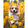5d DIY Алмазная картина, вышивка крестом, милые животные, питомец, корги, цветок, алмазная вышивка, мозаика, полный круглый дрель, домашний декор, искусство