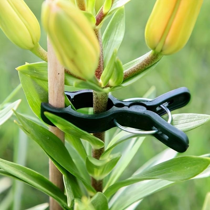 20 шт., безопасные пластиковые зажимы для растений, зажимы для поддержки растений, зажимы для вьющихся растений, тонкая веревочная сетка, садовые зажимы, зажимы для виноградной лозы