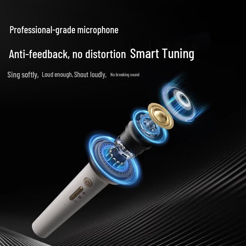 Philips Bluetooth-динамик для караоке с двумя микрофонами (Китайская версия)