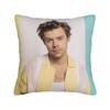 Harrys Styles Singer Pillowcase Soft Polyester Cushion Cover Decorations  Pillow Case Cover Seater Zippered cm