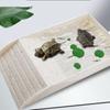 Smooth Tortoise Feeder With Platform Turtle Tank Tortoise Feeding Dish  Hamster