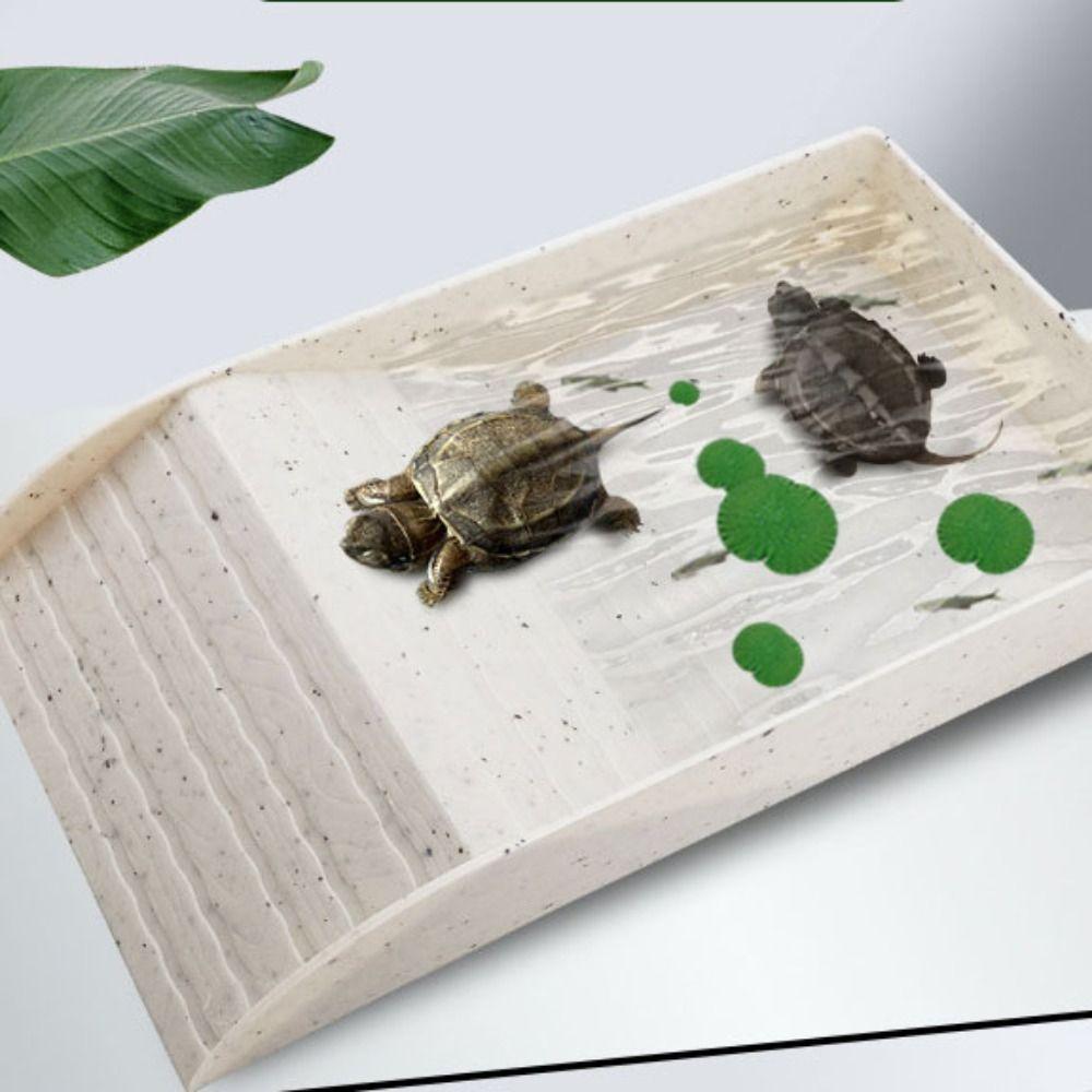 Smooth Tortoise Feeder With Platform Turtle Tank Tortoise Feeding Dish  Hamster