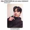 Stray Kids 6th Mini Album Oddinary Official ID Card Photocard KPOP K-POP
