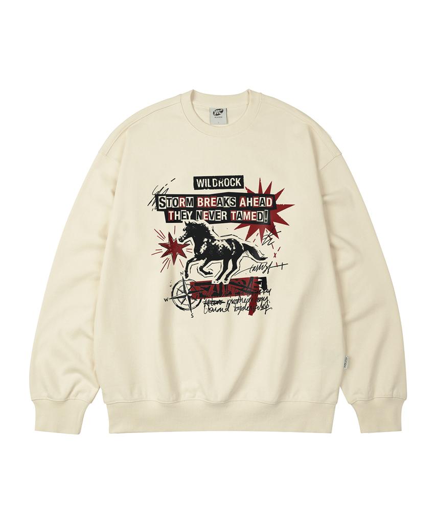 Свободная толстовка WILDROCK Storm Horse_9 Col (Тип B)