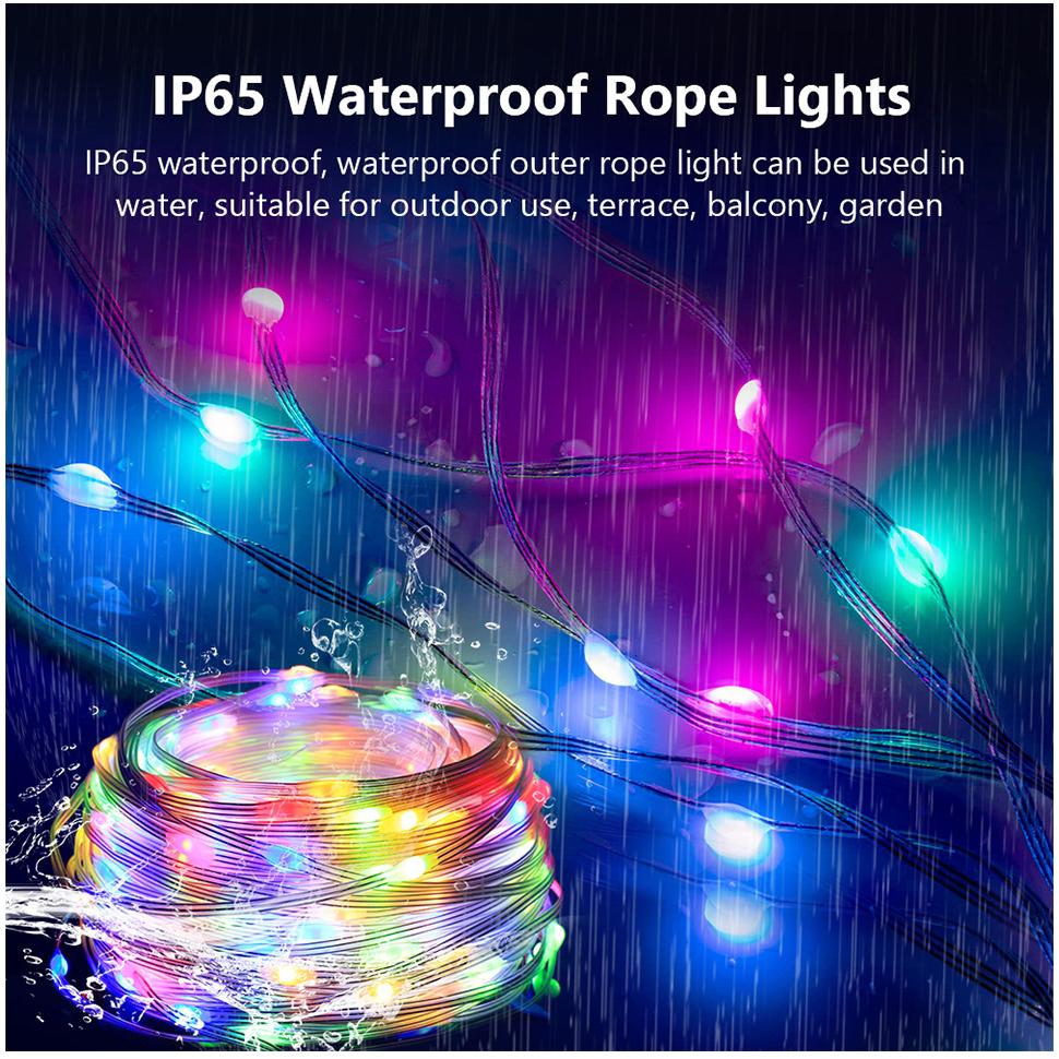 Waterproof Smart 5V RGBIC WS2812b Led Strings Fairy Light 10M 100Leds Dreamcolor Chasing Home Outdoor Decoration Music Sync