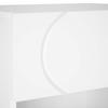 Shoe Cabinet 48 x 38 x 87.5 cm Engineered Wood High Gloss White