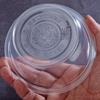 Disposable Plastic Bowls with Lids
