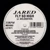 12-дюймовая пластинка JARED - Fly So High MRV002 Vinyl Solution 1993 UK Dance & Electronica Б/У