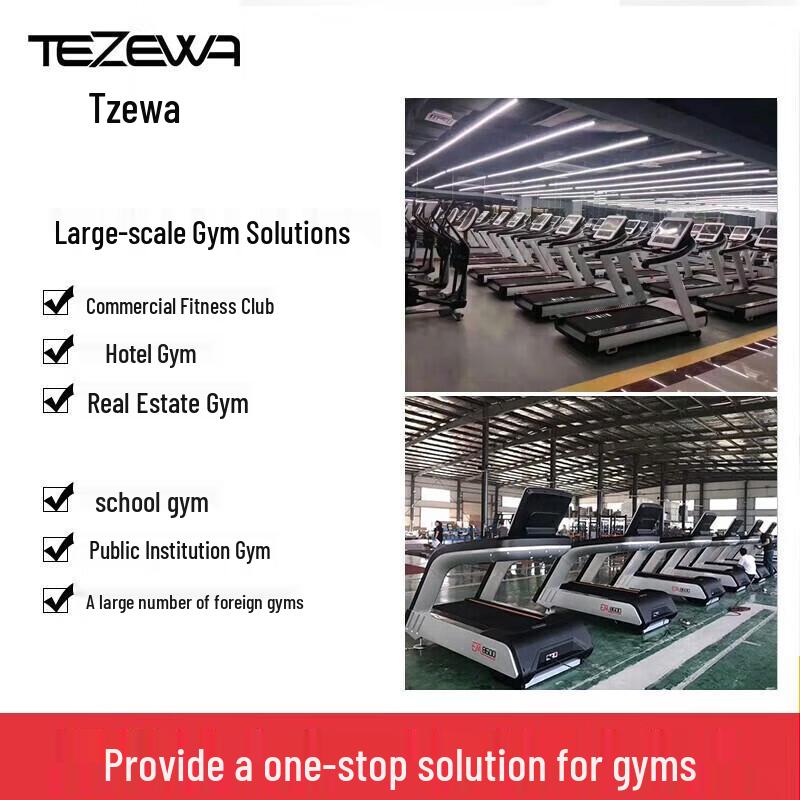TEZEWA Commercial Adjustable Hyperextension Roman Chair