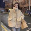 Autumn and Winter New Loose Imitation Lamb Wool Thickened Imitation Rabbit Fur Short Plush Jacket Women's Clothing