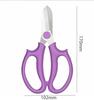 Stainless Steel Heavy Duty Gardening Shears Professional Flower Pruners Plant Trimming Tools Sharp Blades for Garden Home Use