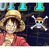 EVERSOUL ONE PIECE Short Featuring the Straw Hat and Character Anime Movie XL Size T-Shirt, Sleeve, Luffy, Chopper, Nami, Pirates, Sanji, Zoro,