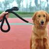 Large Dog Leash Nylon Braided Traction Rope Pet Walking Thick Hand Rope For Bulldog Rottweiler Hound Dogs Accessories