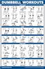 Palace Learning Dumbbell Workout Exercise Poster Free Weight Bodybuilding Guide Home Gym Chart Laminated X - - 18" 24"