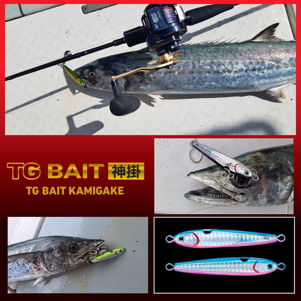 Daiwa Tungsten Jig TG Bait Kamikake 120g PH Akakin