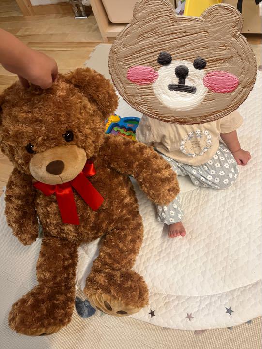 [USED] Costco teddy bear