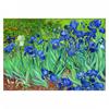 [R2016] - Reproduction 'Vincent Van Gogh' (Iris) - 30x20cm
