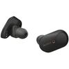 Sony Wireless Earphones Fully Wireless Amazon Alexa Bluetooth Audio Equivalent Up To 6 Hours of Continuous Playback 2019 Model Microphone 360 Reality