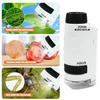 Kids Microscope with 12 Samples 60-120X Magnification Clear Lens Toddlers Portable Mini Handheld