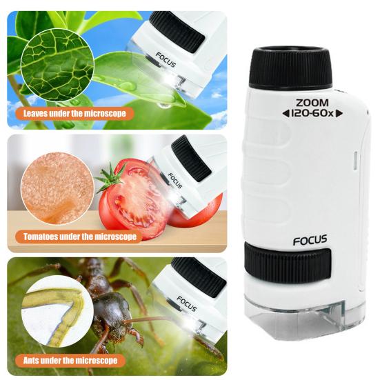 Kids Microscope with 12 Samples 60-120X Magnification Clear Lens Toddlers Portable Mini Handheld