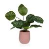 Potted Plant 44CM