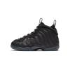 Air Foamposite One Anthracite 2020 PS 723946-014