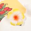 2 шт., заколка для волос с цветком плюмерии, Нескользящие красочные боковые зажимы, декоративные пластиковые аксессуары для волос для женщин и девочек